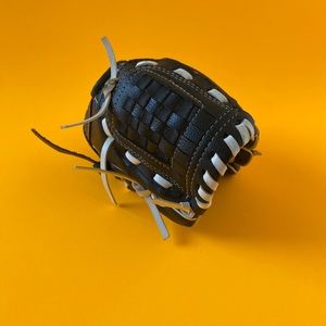 Dicks leatherTball glove